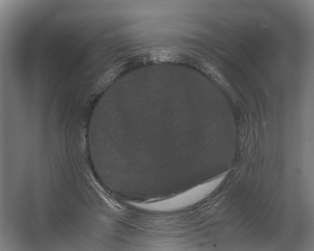 X0000062630401200601041036