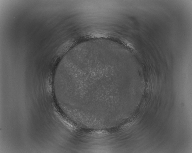 X0000062630402200601041036