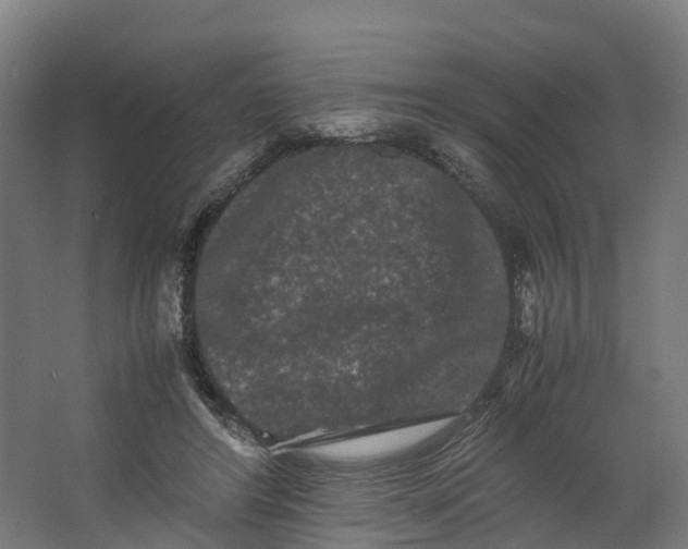 X0000062630404200601041036