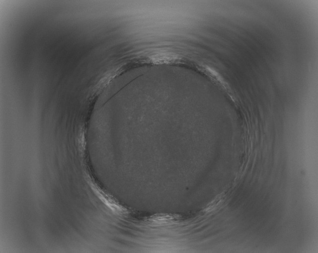 X0000062630405200601041036