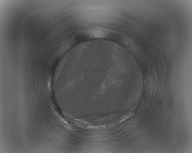 X0000062630406200601041036