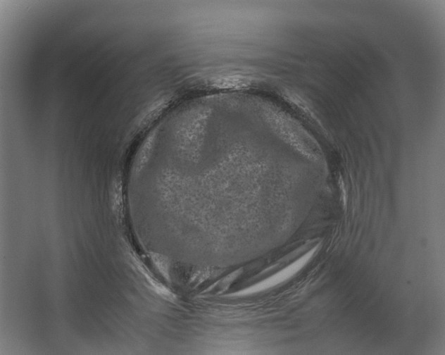 X0000062630407200601041036