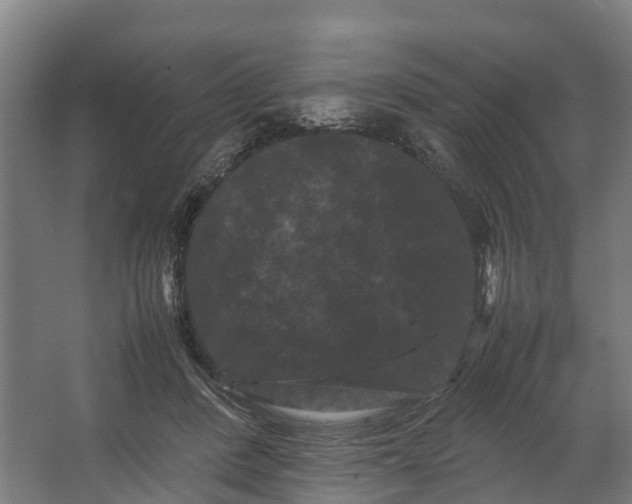 X0000062630408200601041036