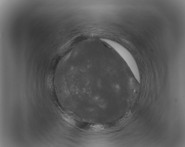 X0000062630409200601041036