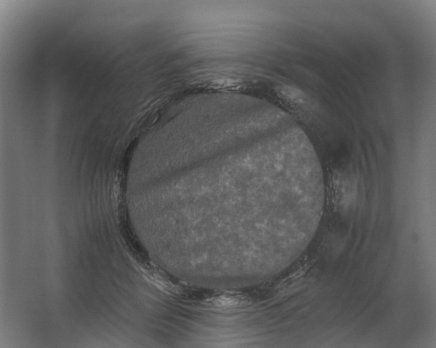 X0000062630412200601041036