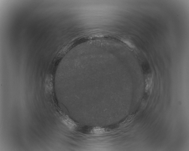 X0000062630413200601041036