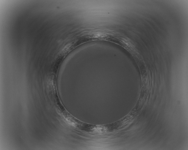 X0000062630415200601041036