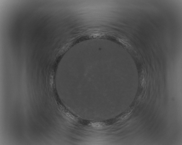 X0000062630417200601041036