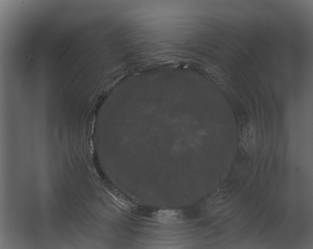 X0000062630418200601041036