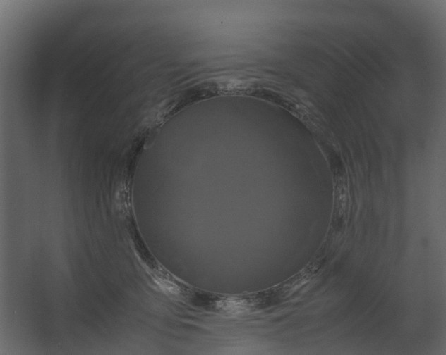 X0000062630419200601041036