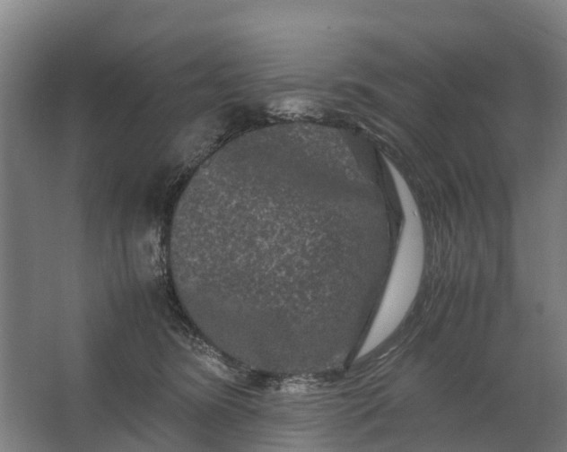 X0000062630420200601041036