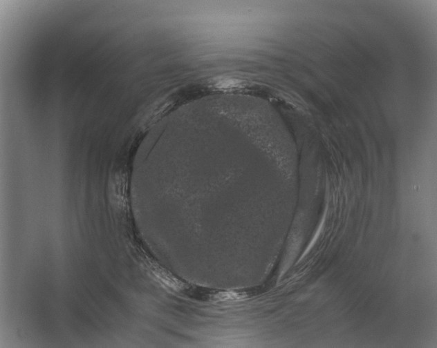 X0000062630421200601041036