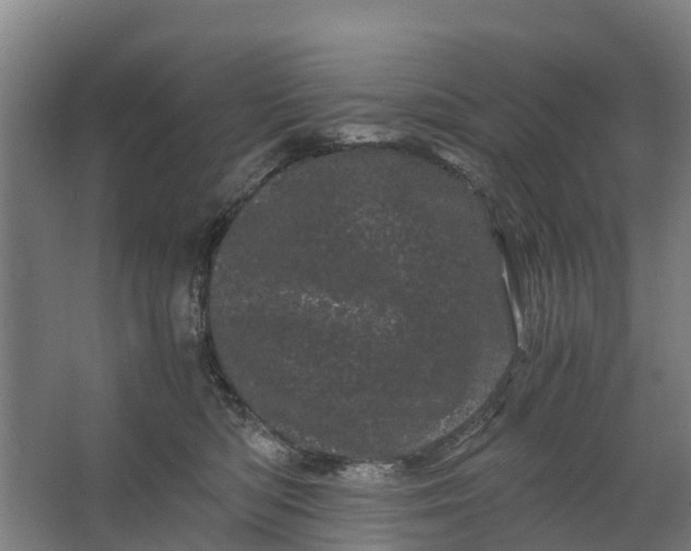 X0000062630422200601041036