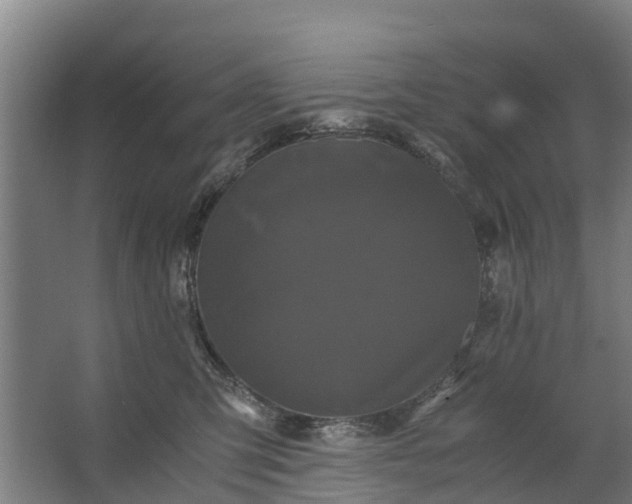 X0000062630423200601041036