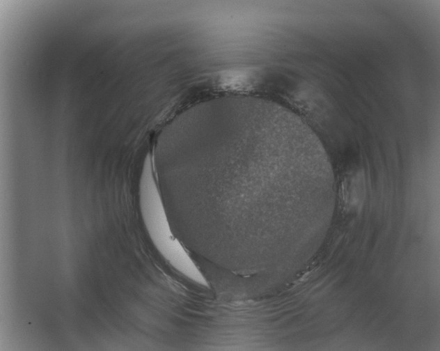 X0000062630424200601041036