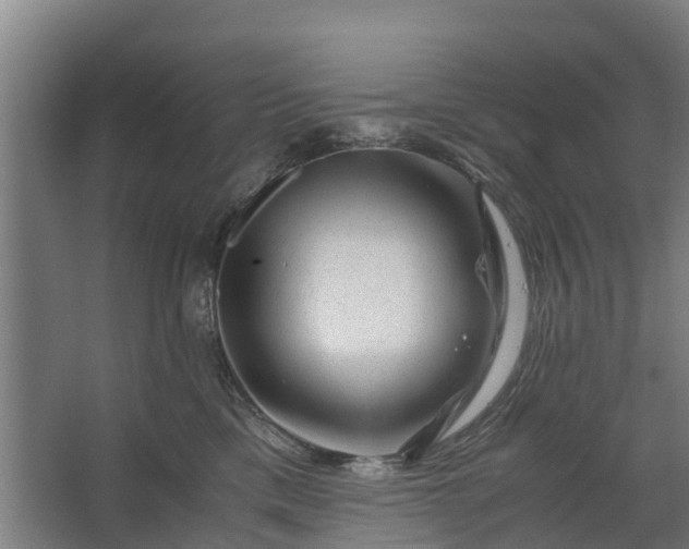 X0000062630425200601041036