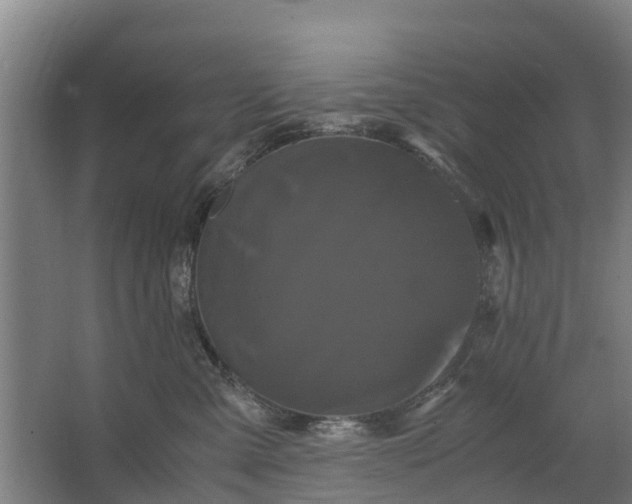 X0000062630427200601041036