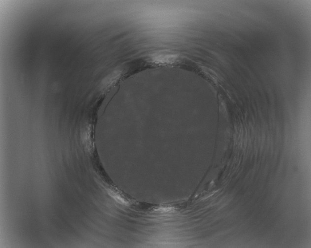 X0000062630428200601041036