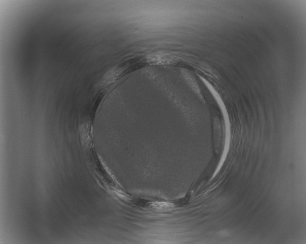 X0000062630429200601041036