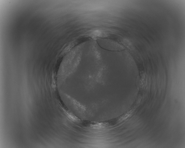 X0000062630430200601041036