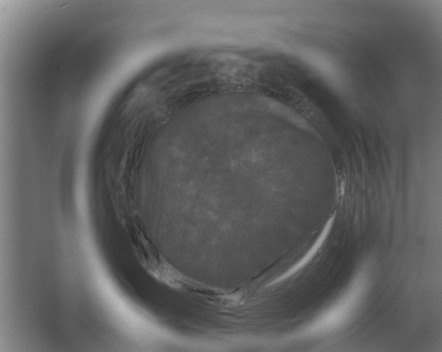 X0000062630431200601041036