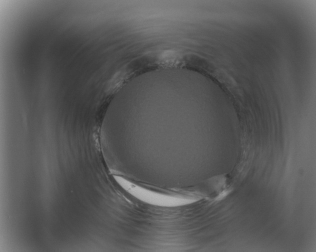 X0000062630432200601041036