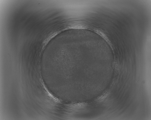 X0000062630433200601041035