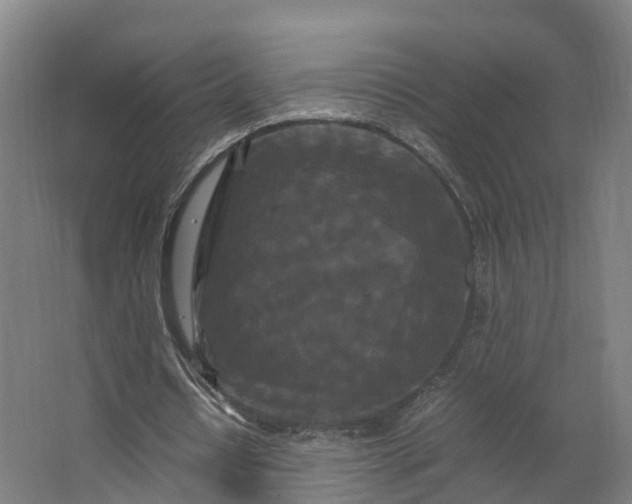 X0000062630434200601041035