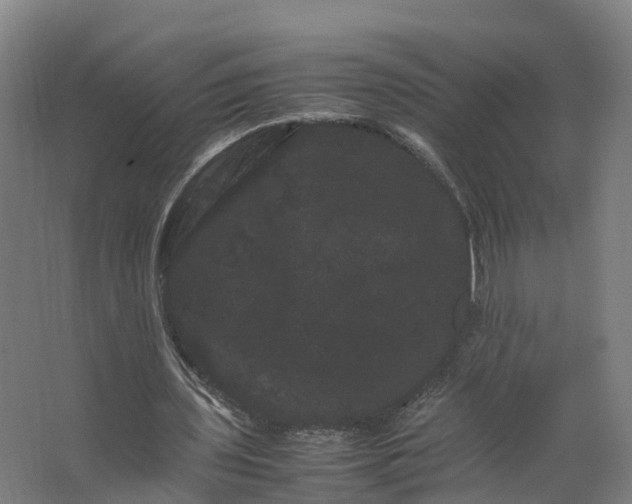 X0000062630435200601041035