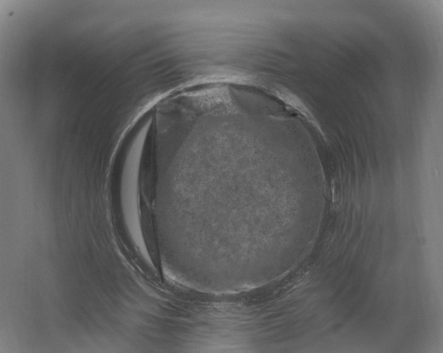 X0000062630436200601041035