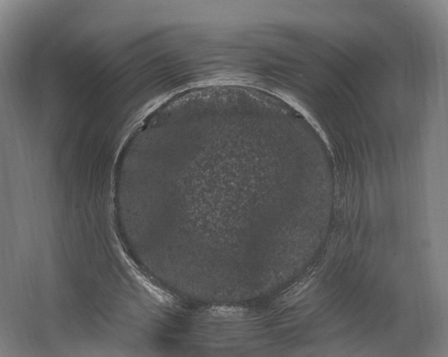 X0000062630437200601041035