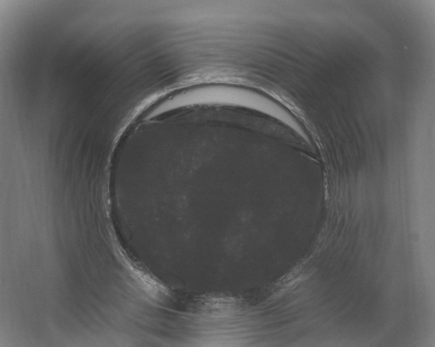 X0000062630438200601041035