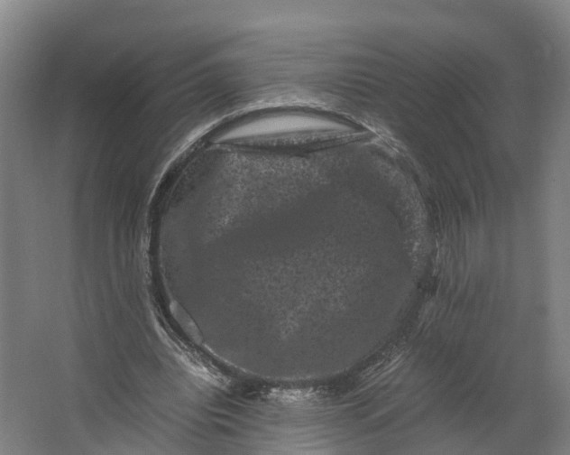 X0000062630440200601041035