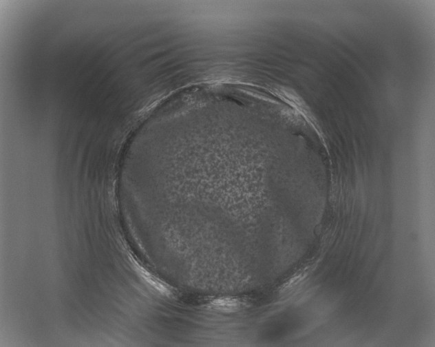 X0000062630441200601041035