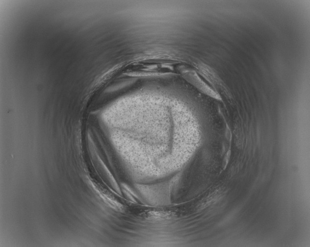 X0000062630442200601041035