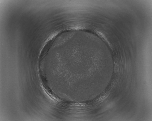 X0000062630443200601041035