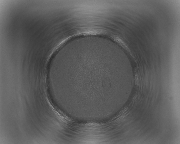 X0000062630444200601041035