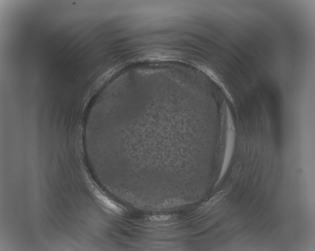 X0000062630445200601041035