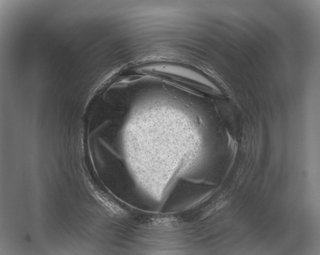 X0000062630446200601041035