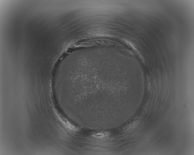 X0000062630447200601041035