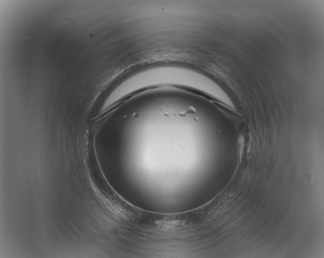 X0000062630448200601041035