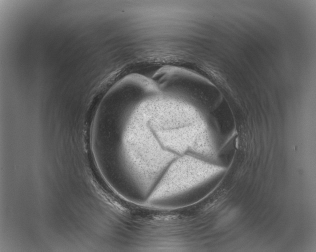 X0000062630450200601041035