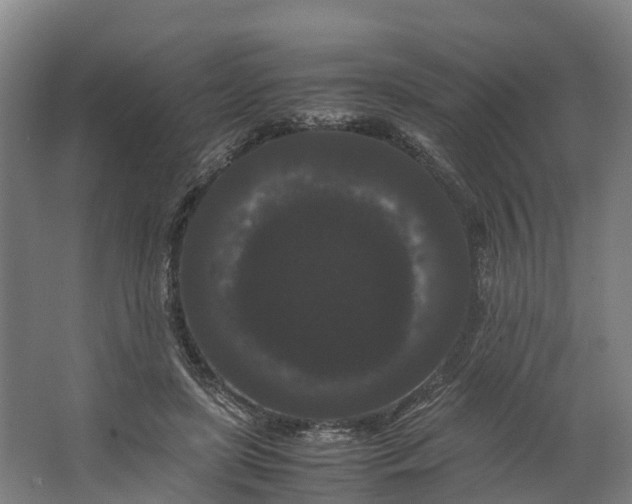 X0000062630451200601041035