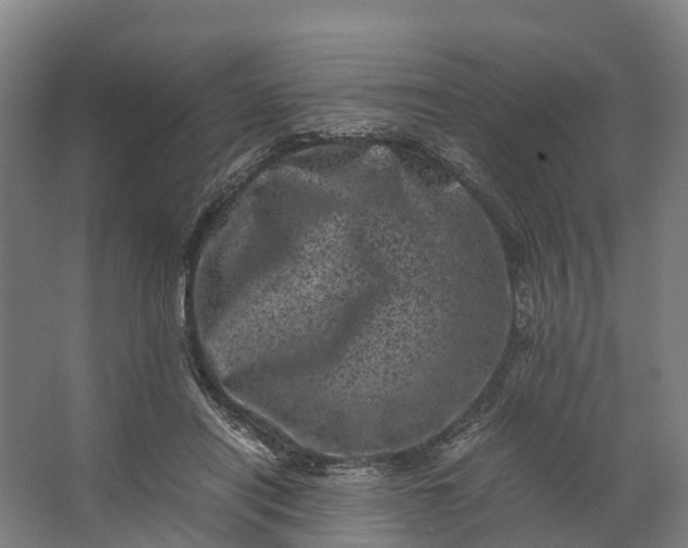 X0000062630454200601041035