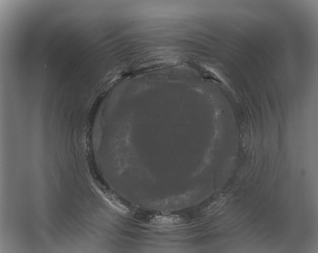 X0000062630455200601041035