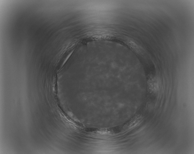 X0000062630458200601041035