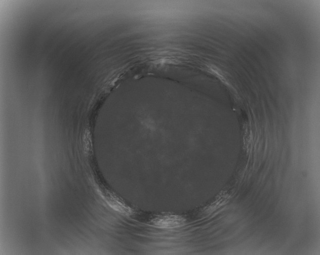 X0000062630459200601041035