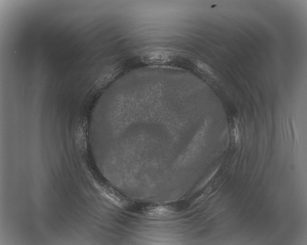 X0000062630460200601041035