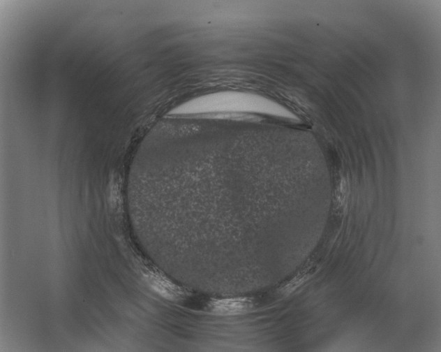 X0000062630461200601041036