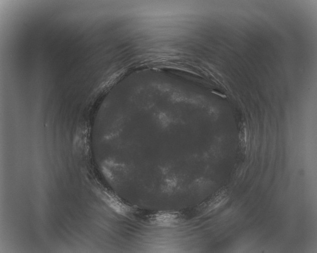 X0000062630462200601041036